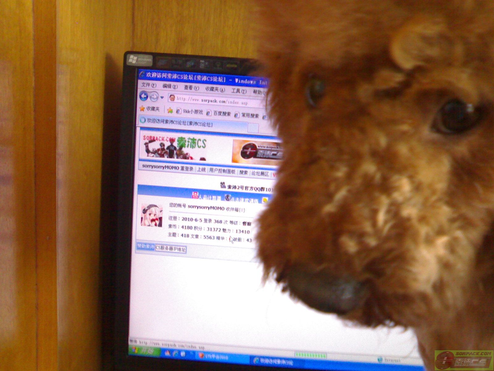 ͼƬ��������´��ڴ򿪲鿴