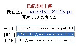 dvubb 图片点击可在新窗口打开查看