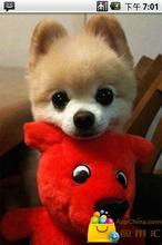 ���ӳ�2ͷ��