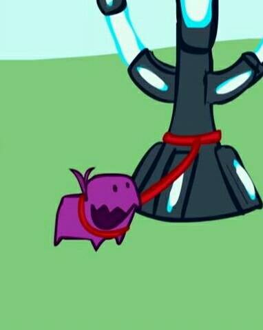 ���ӳ�2ͷ��